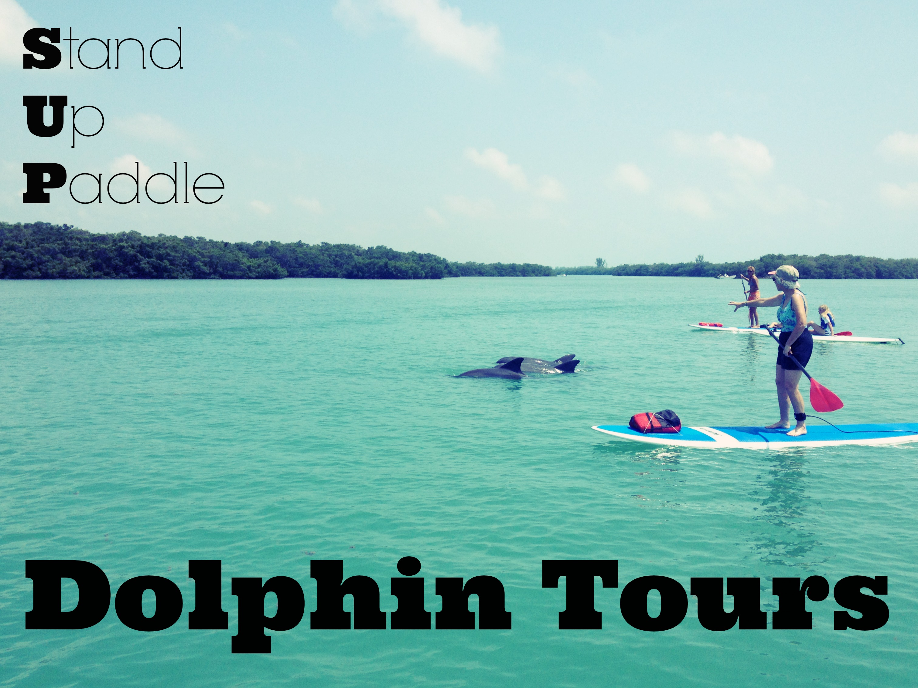 SUP Dolphin Tours